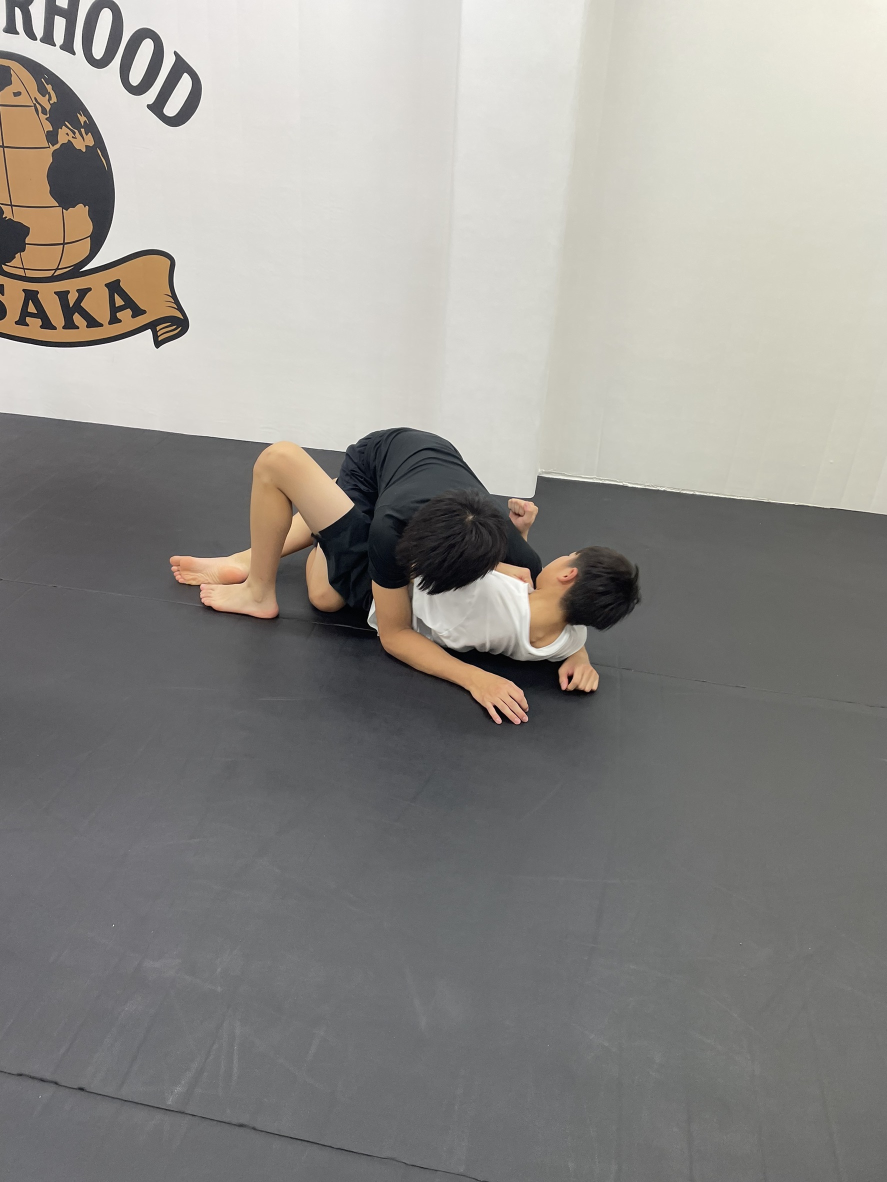 ノーギ/グラップリング